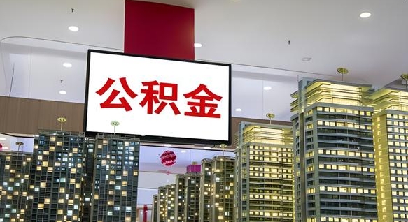 定安离职前公积金怎么取（离职之前提取公积金）